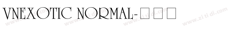 VnExotic Normal字体转换